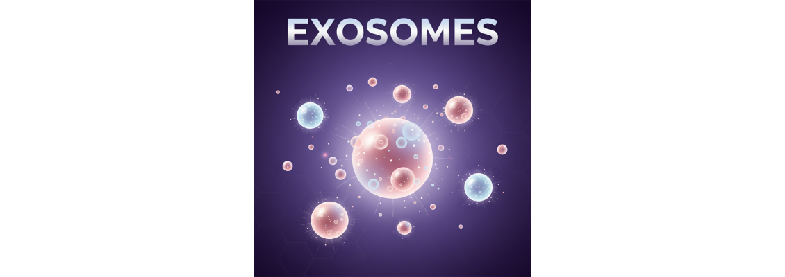 Η νέα εποχή στο skincare: Πώς exosomes & spicules αλλάζουν την ποιότητα της επιδερμίδας
