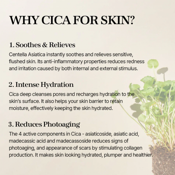 MIXSOON Soondy Centella Asiatica Essence 100ml